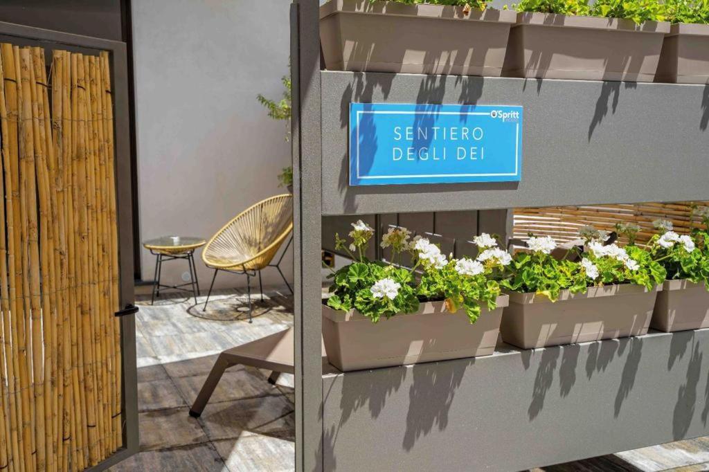 Ospritthouse Lägenhet Agerola Exteriör bild